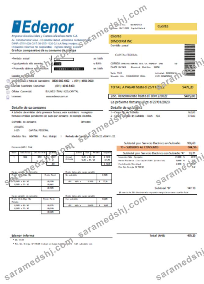Edenor easy to fill utility business bill SCR